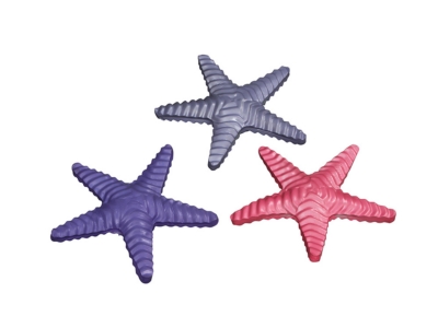 Water Fun Starfish